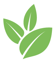 Buzz Kudzu Removal