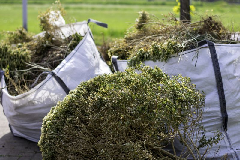Kudzu Removal