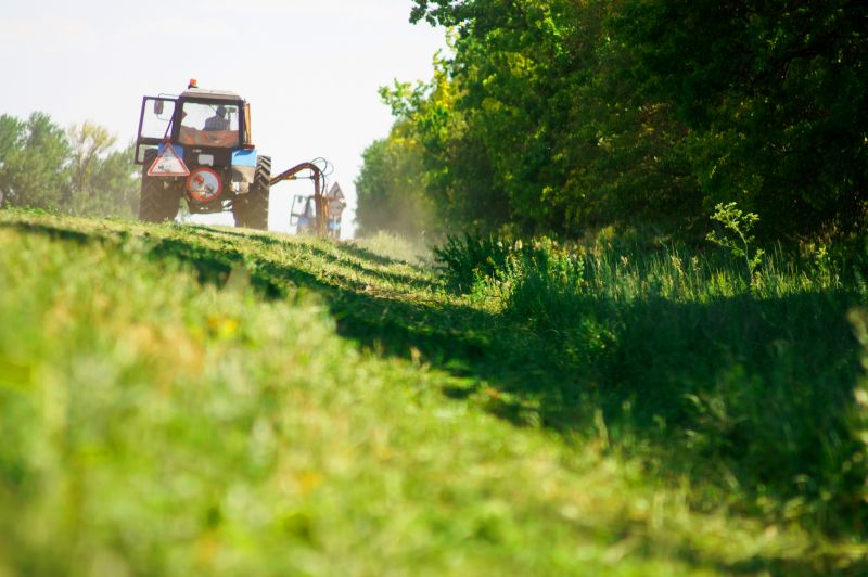 Kudzu Removal