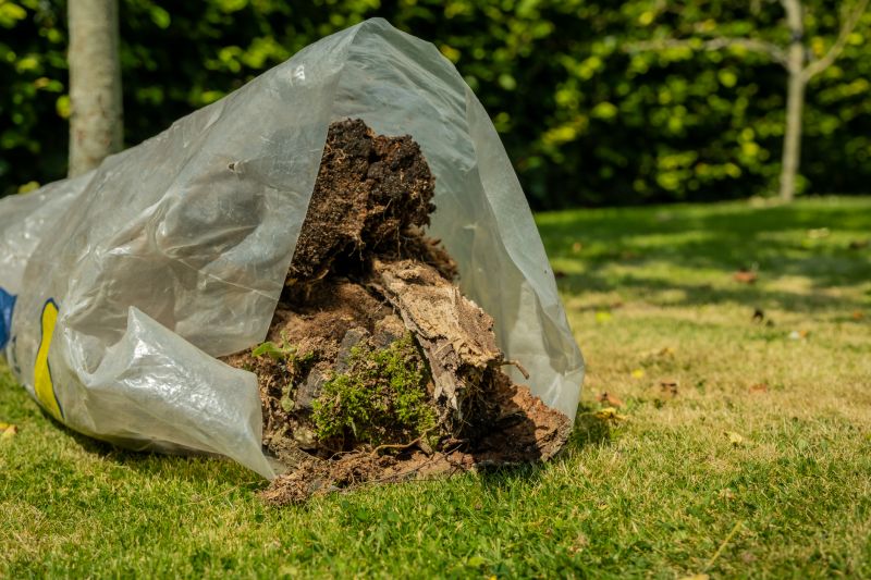 Kudzu Removal Cost Guide — Cost of Kudzu Removal