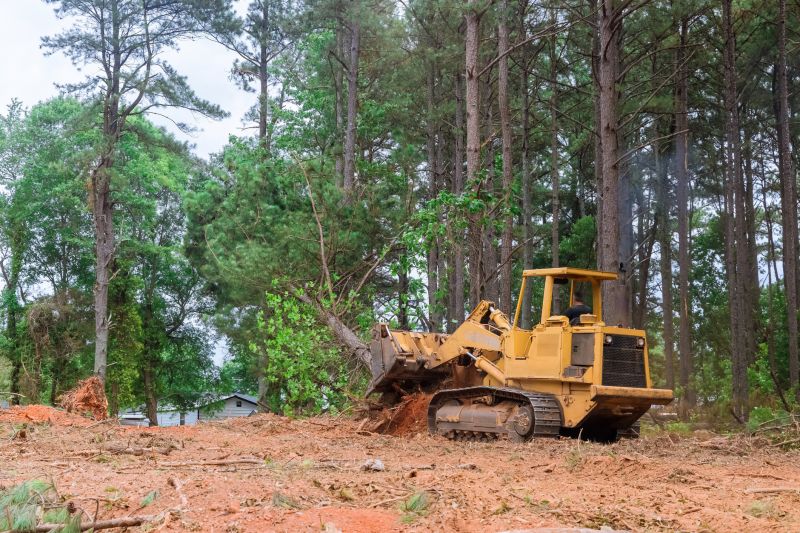 Inside Kudzu Removal Equipment