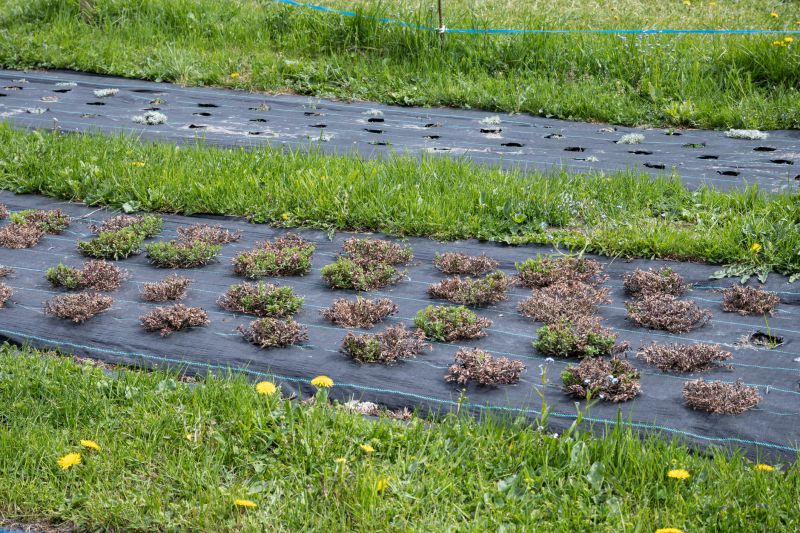 Regrowth Prevention Measures